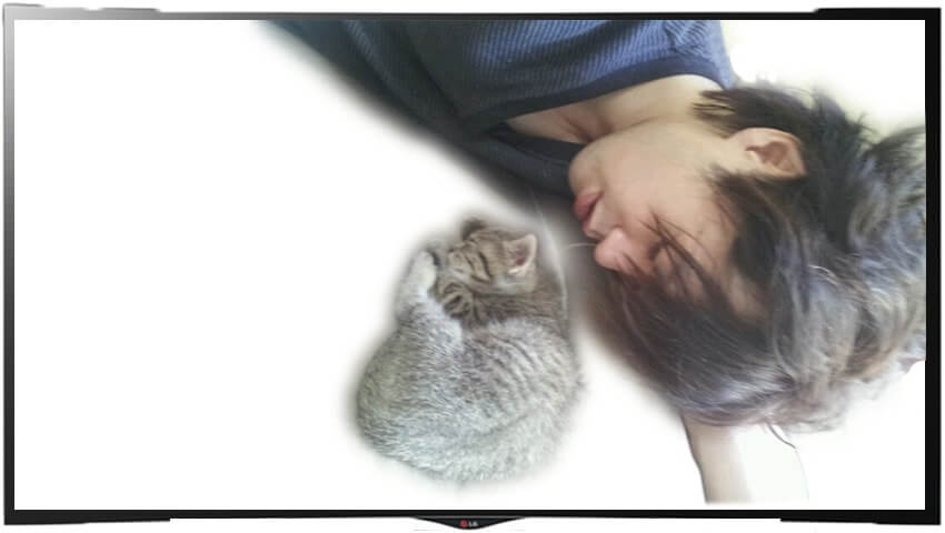 スクリーンしんすけとレン